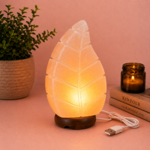 Himalayan Pink Salt Leaf USB Lamp